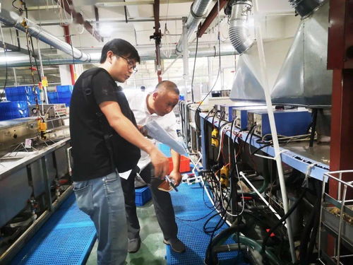 規范廠中廠服務小微園，樂清翁垟街道繃緊企業生產安全弦